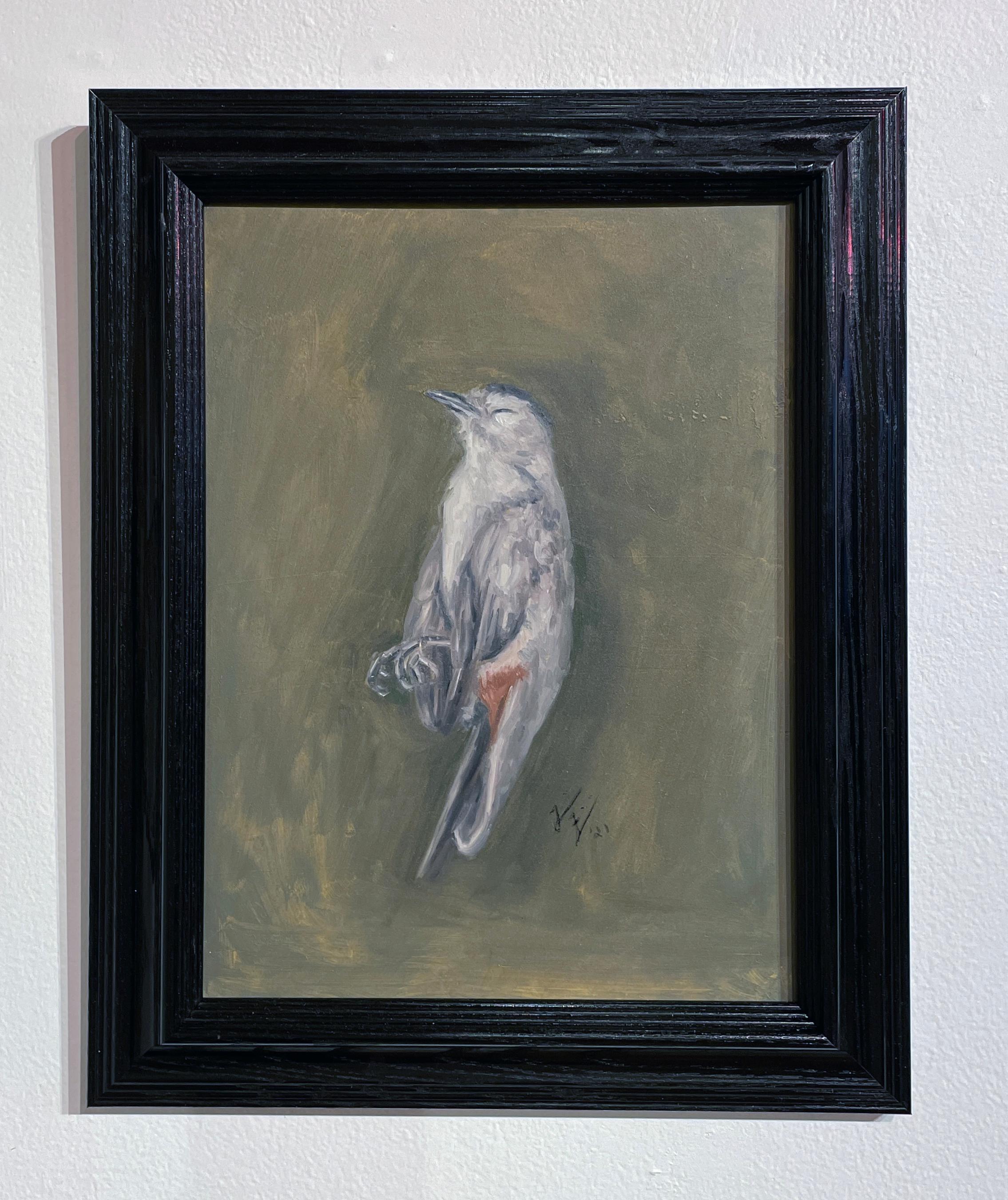 Birdbird - Nature morte d'oiseau mort, peinture à l'huile originale sur panneau - Contemporain Painting par Tina Figarelli