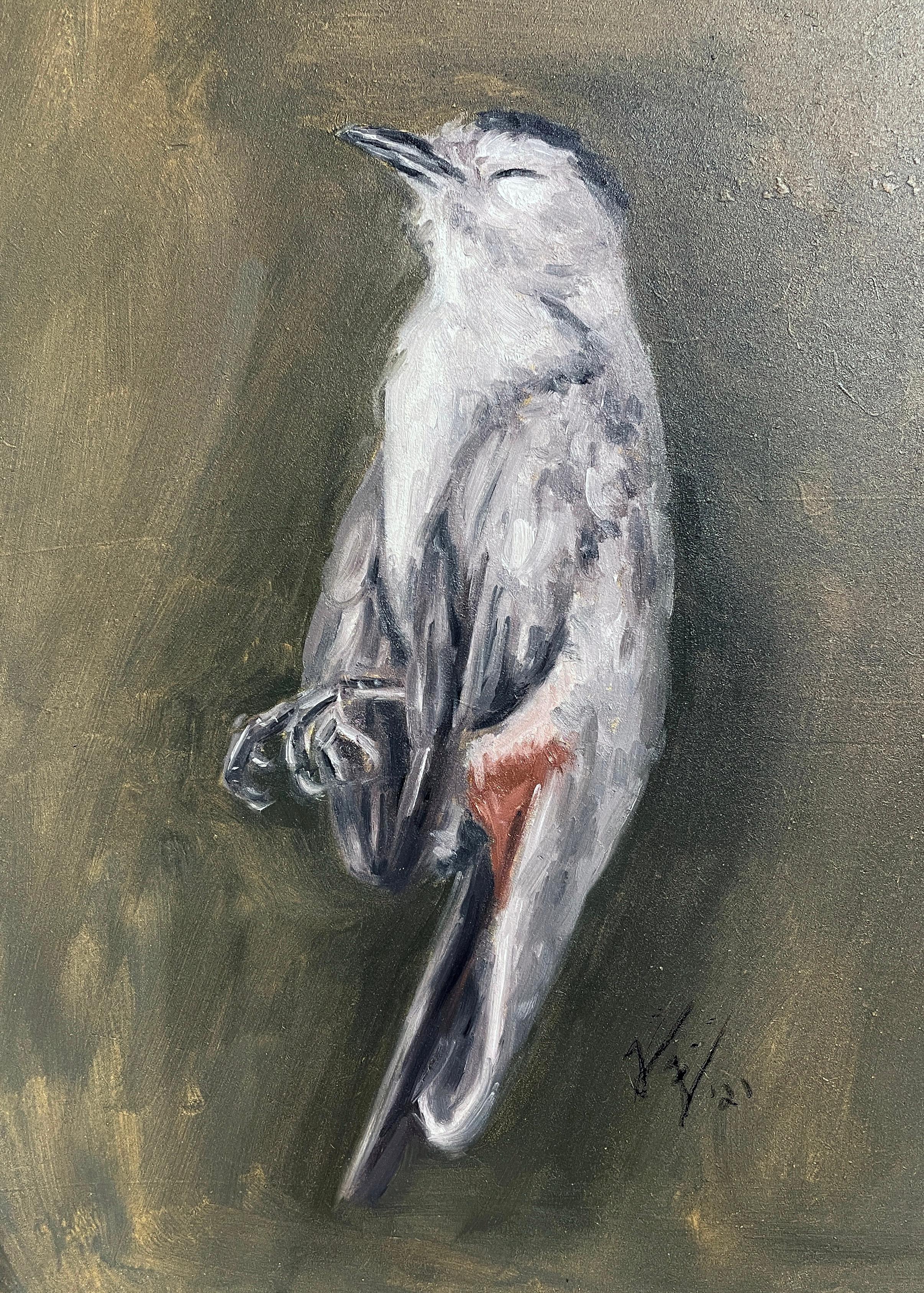 Birdbird - Nature morte d'oiseau mort, peinture à l'huile originale sur panneau - Gris Still-Life Painting par Tina Figarelli