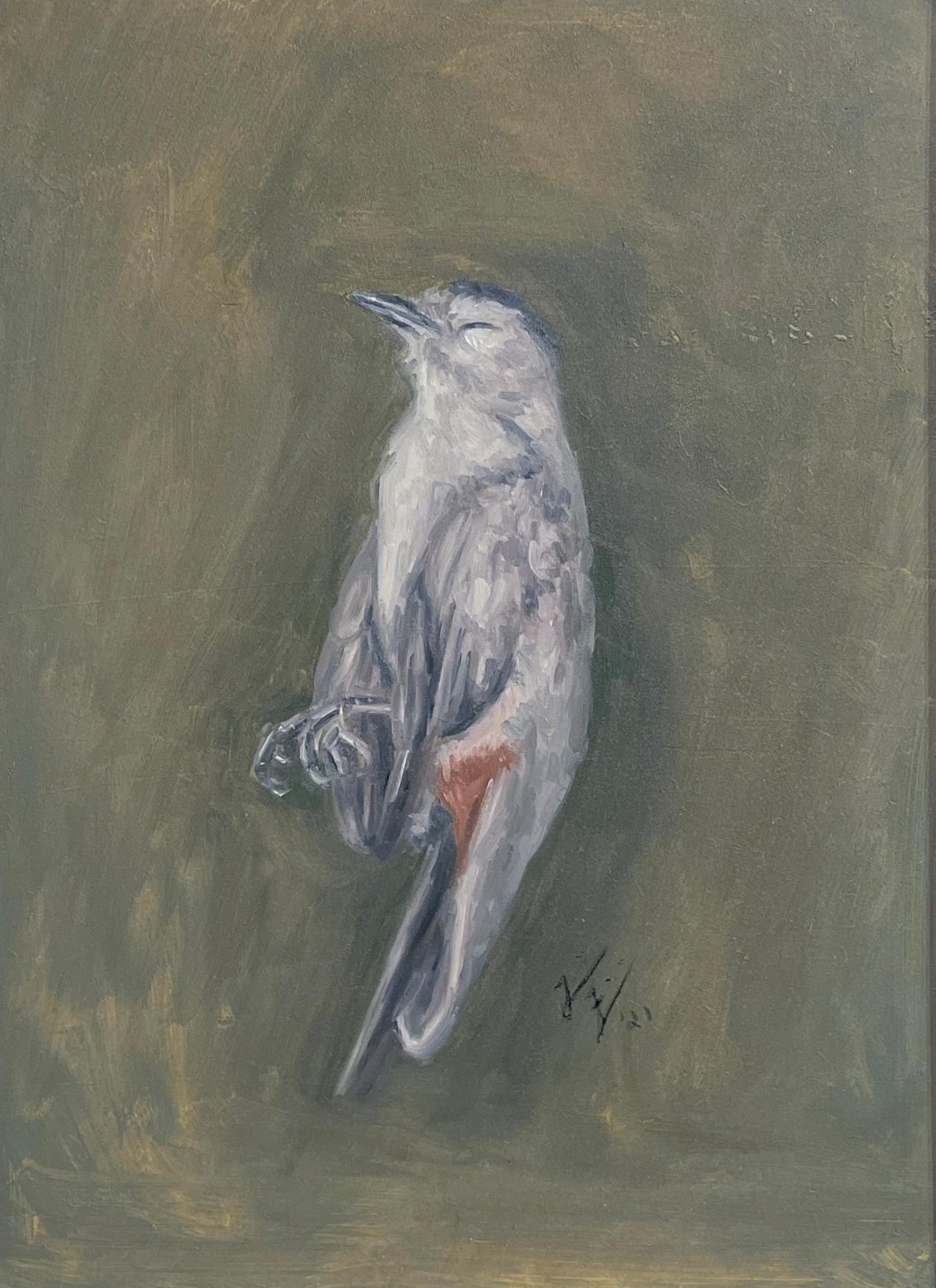 Catbird - Dead Bird Still Life, Original Oil Painting on Panel For Sale 1