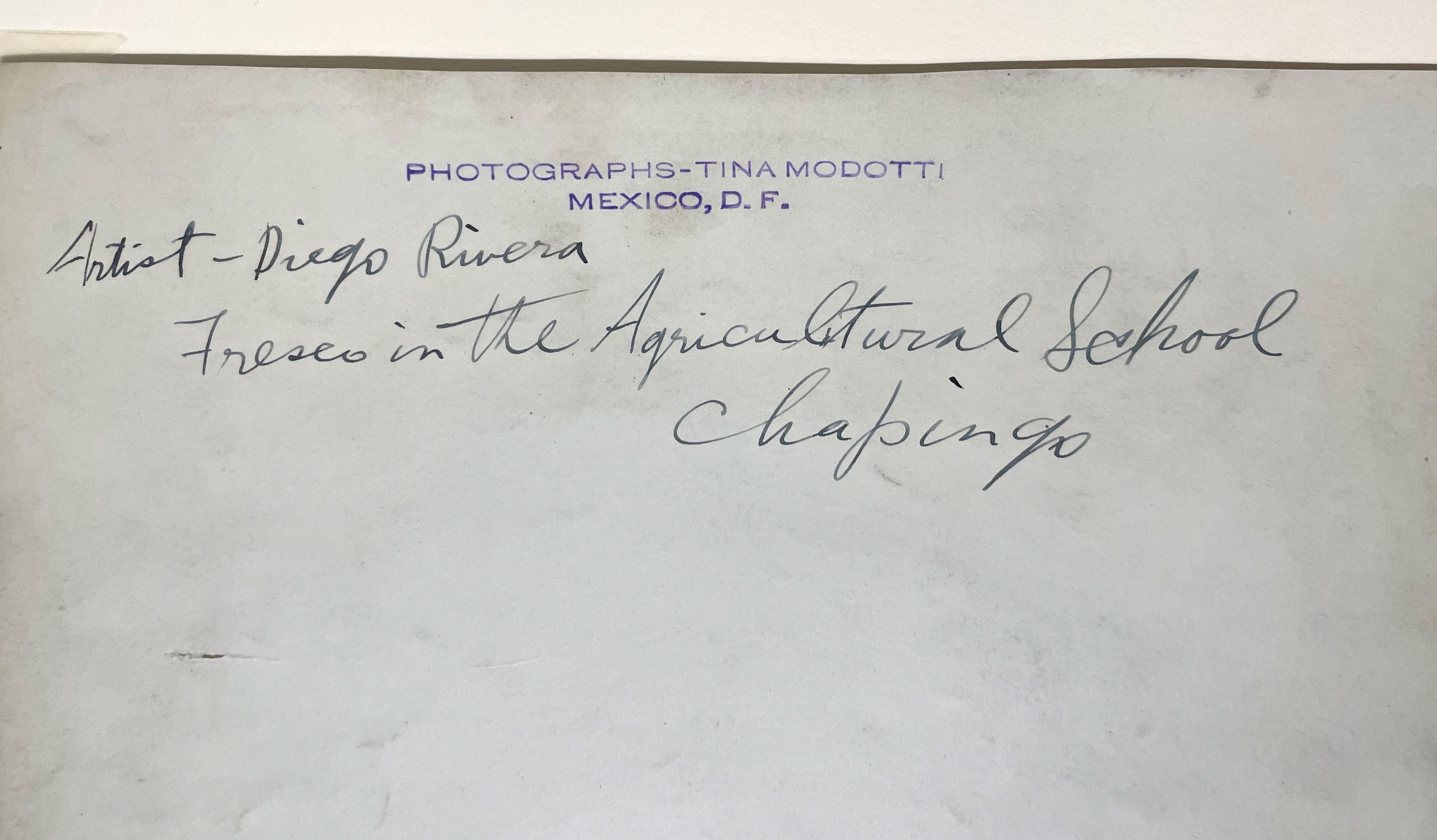 Tirage à la gélatine argentique des années 1920 par Tina Modotti d'une fresque murale de Diego Rivera en vente 12