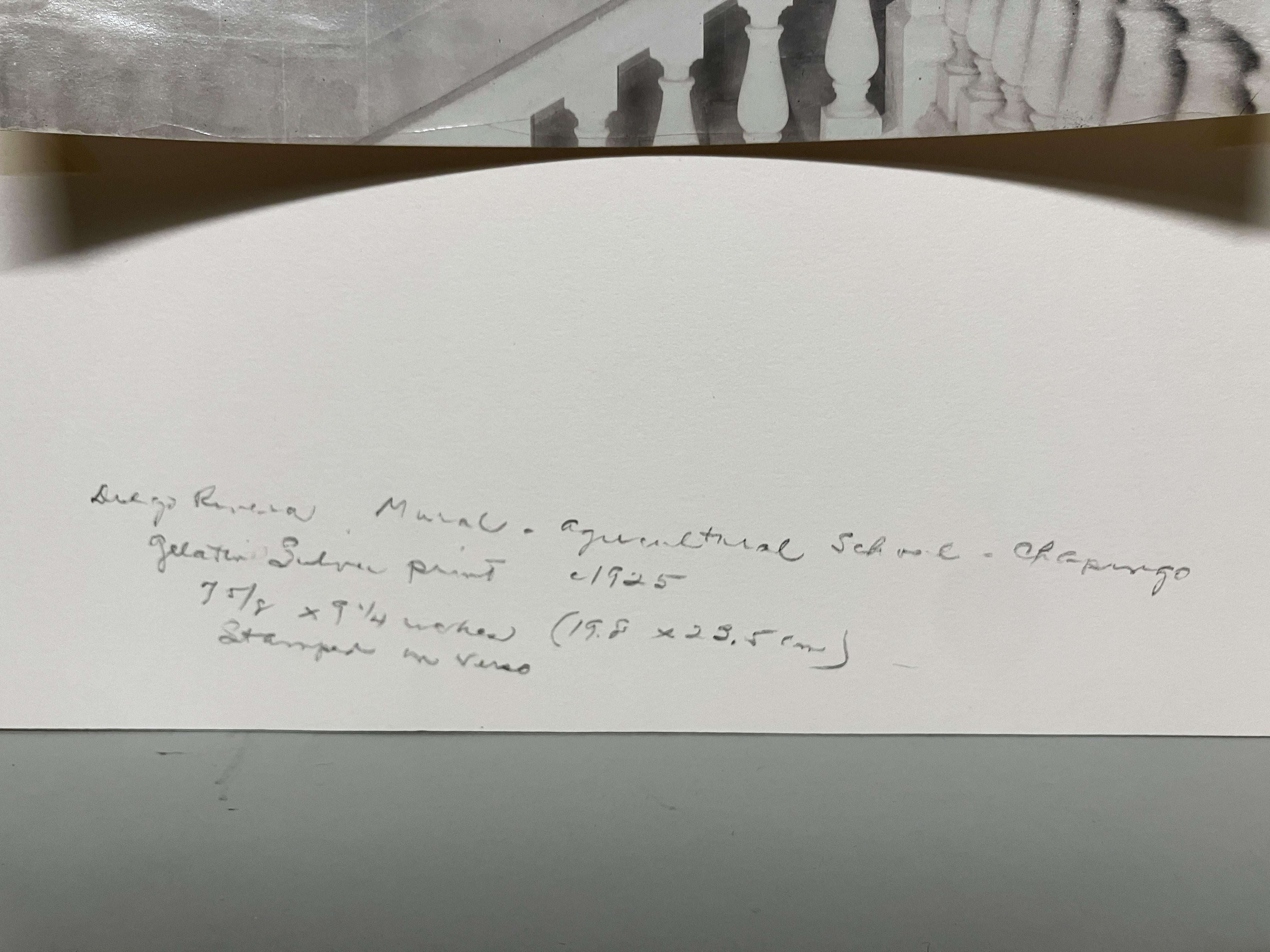 1920's Silber Gelatine Druck von Tina Modotti von Diego Rivera Fresko. im Angebot 3