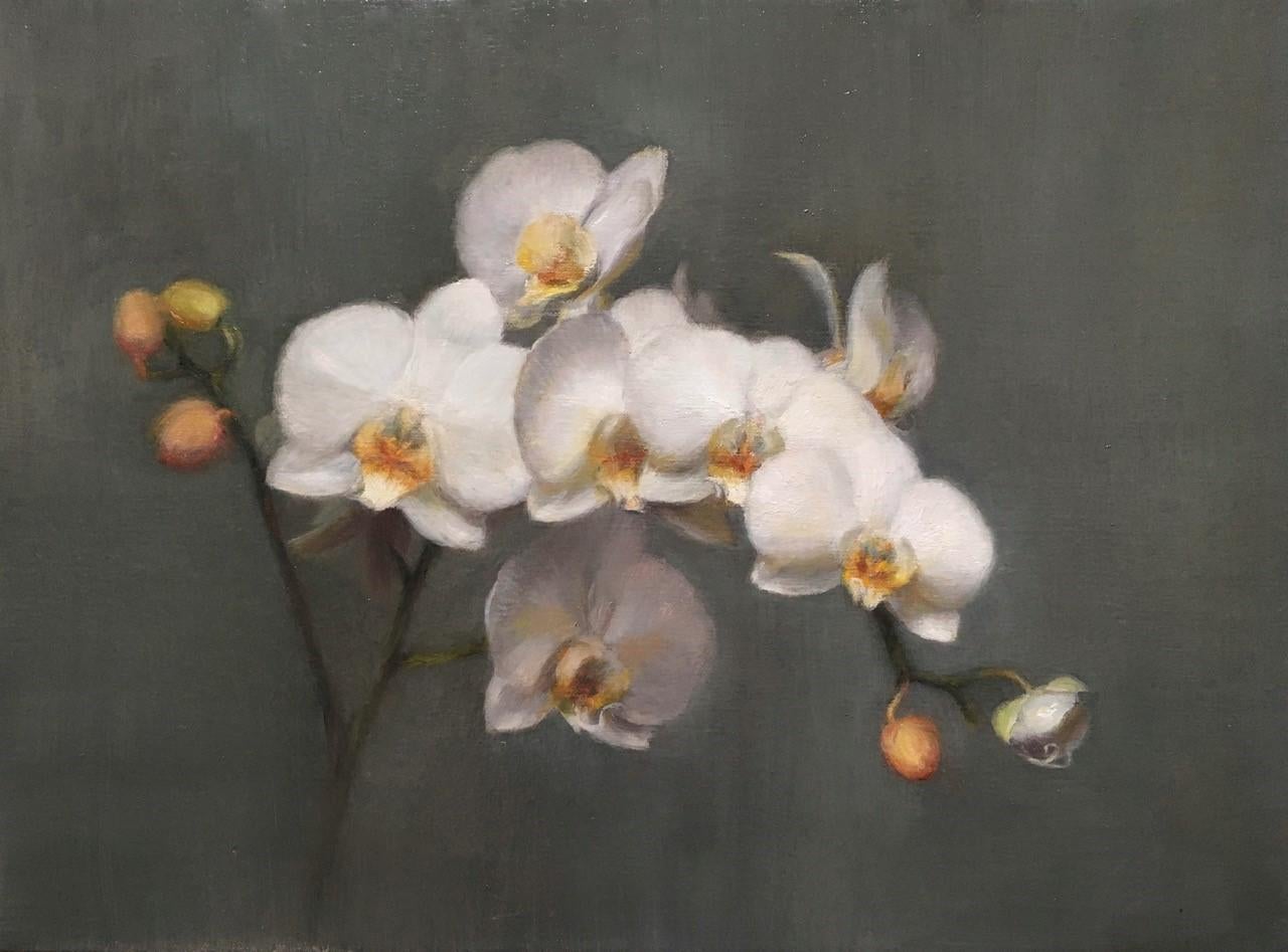 Orquídeas, Óleo, Artista europeo, Naturaleza muerta floral, Academia de Florencia, Croacia, - Painting de Tina Orsolic Dalessio 