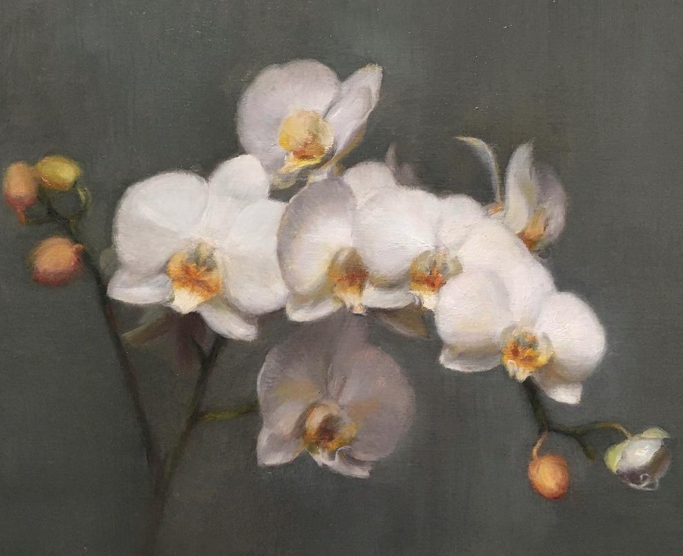 Orquídeas, Óleo, Artista europeo, Naturaleza muerta floral, Academia de Florencia, Croacia, - Painting Impresionista de Tina Orsolic Dalessio 