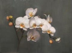 Orchideen, Öl, europäischer Künstler, Blumenstillleben, Akademie in Florenz, Kroatien