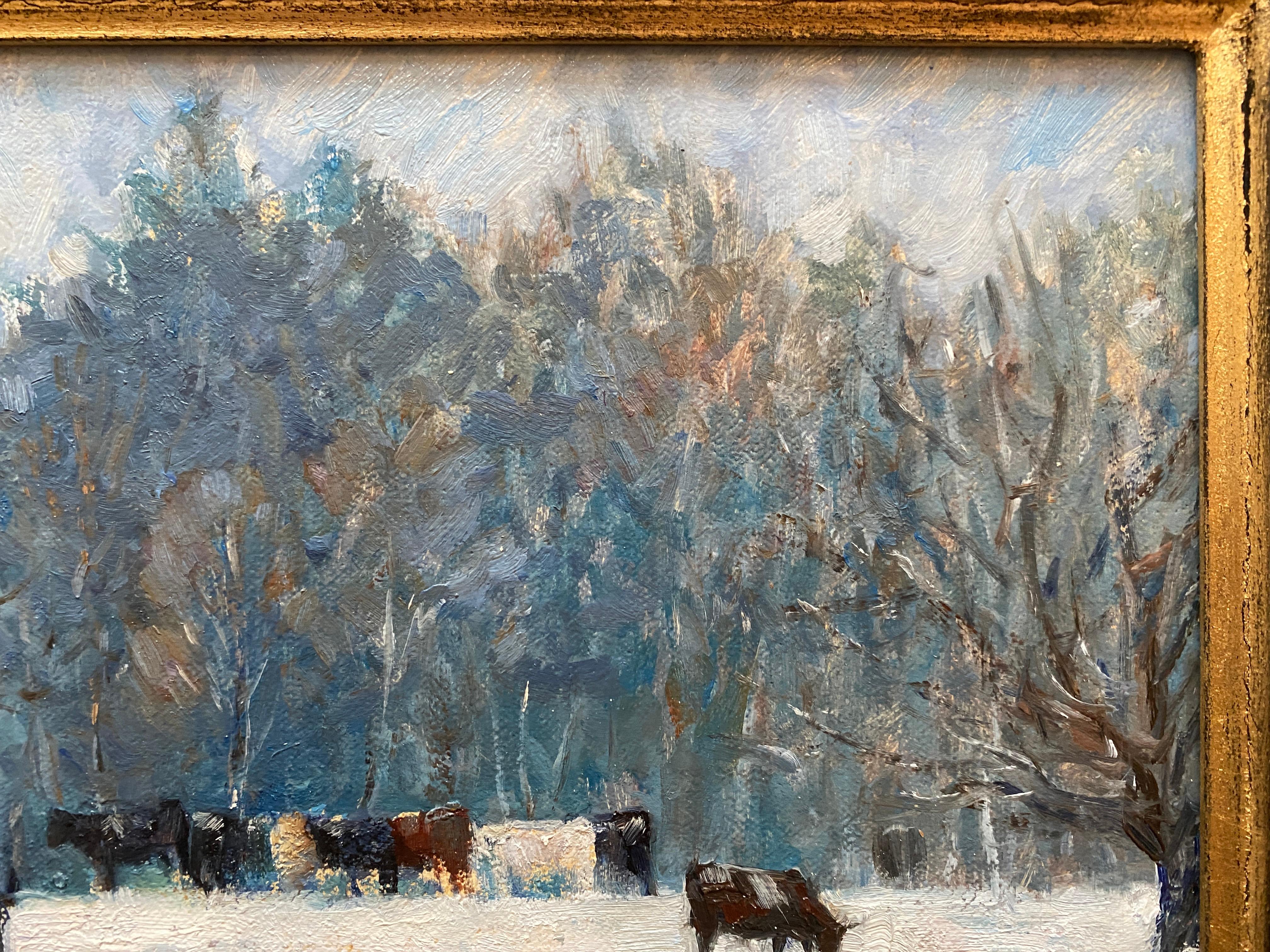 Cows in the Snow, Vermont 2
