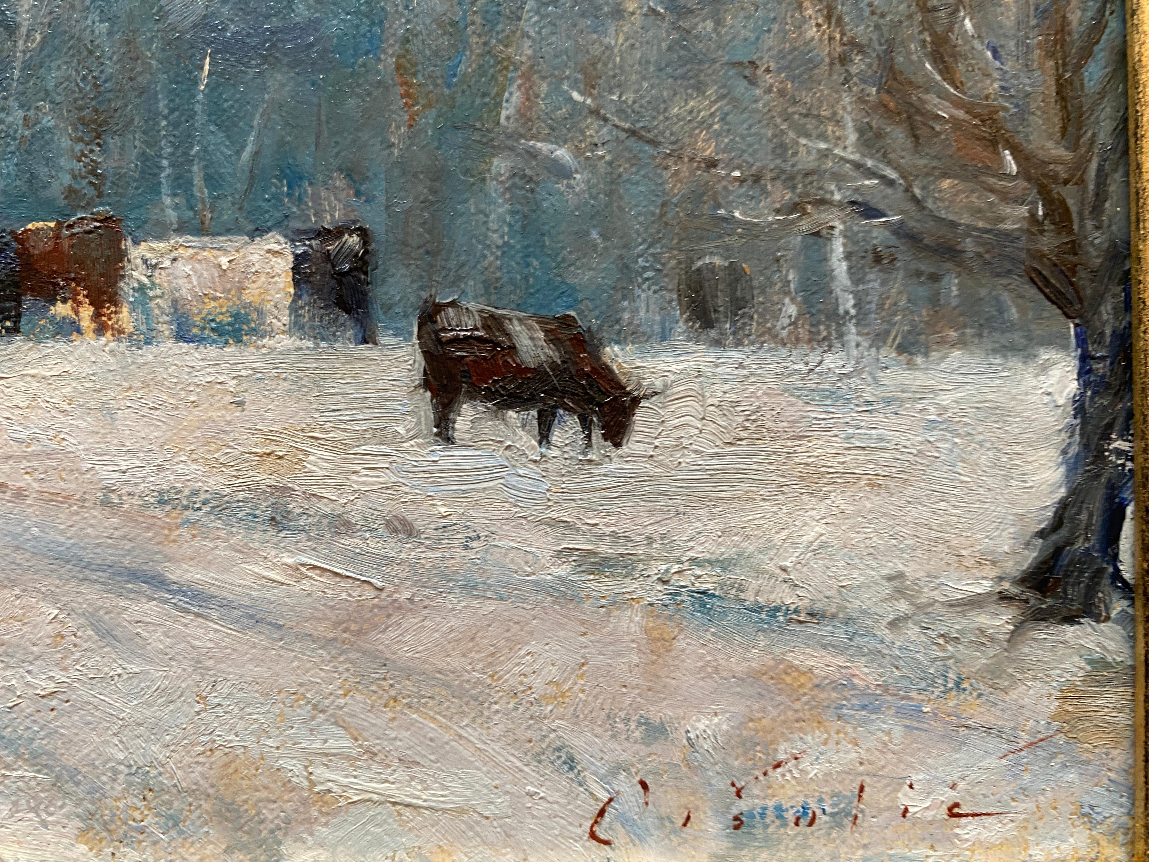 cows in snow