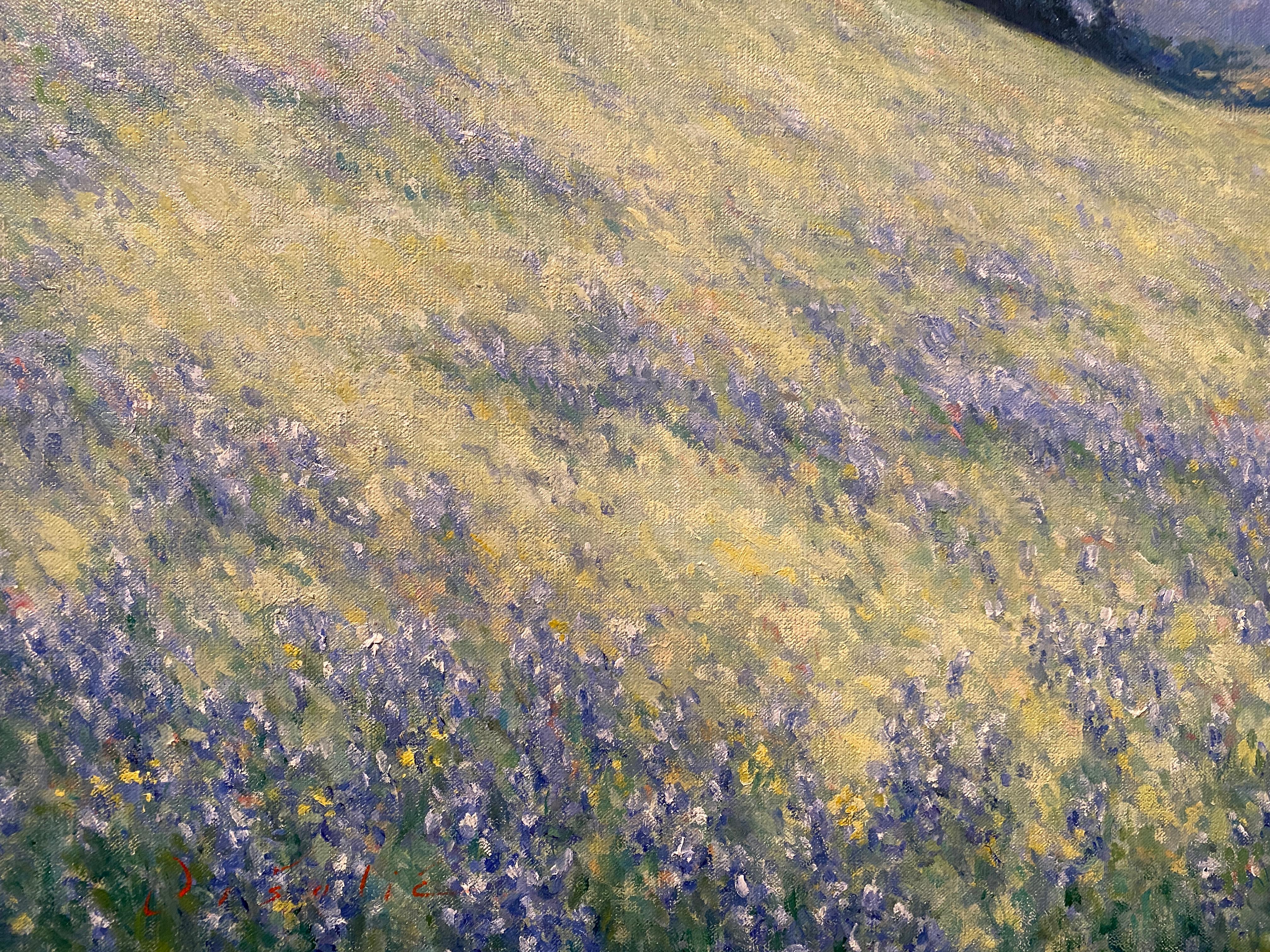 Lupine Fields, Toro Park  - Impressionist Painting by Tina Orsolic Dalessio