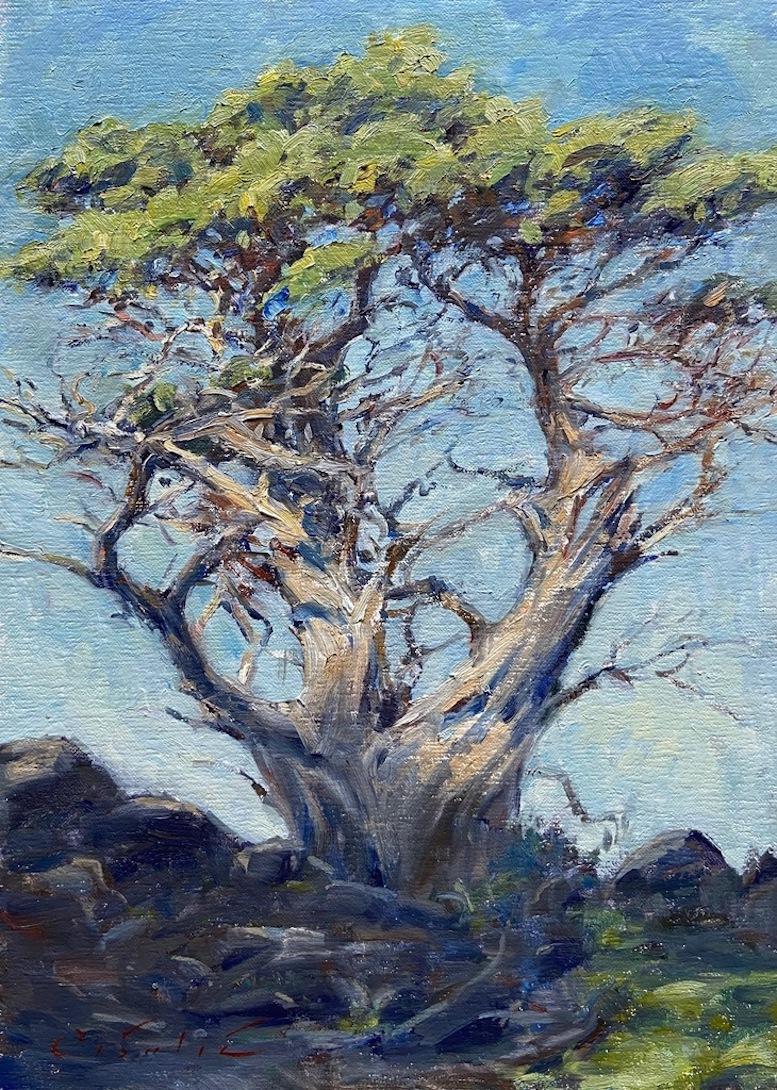 Tina Orsolic Dalessio Still-Life Painting - Monterey Cyprus, Point Lobos