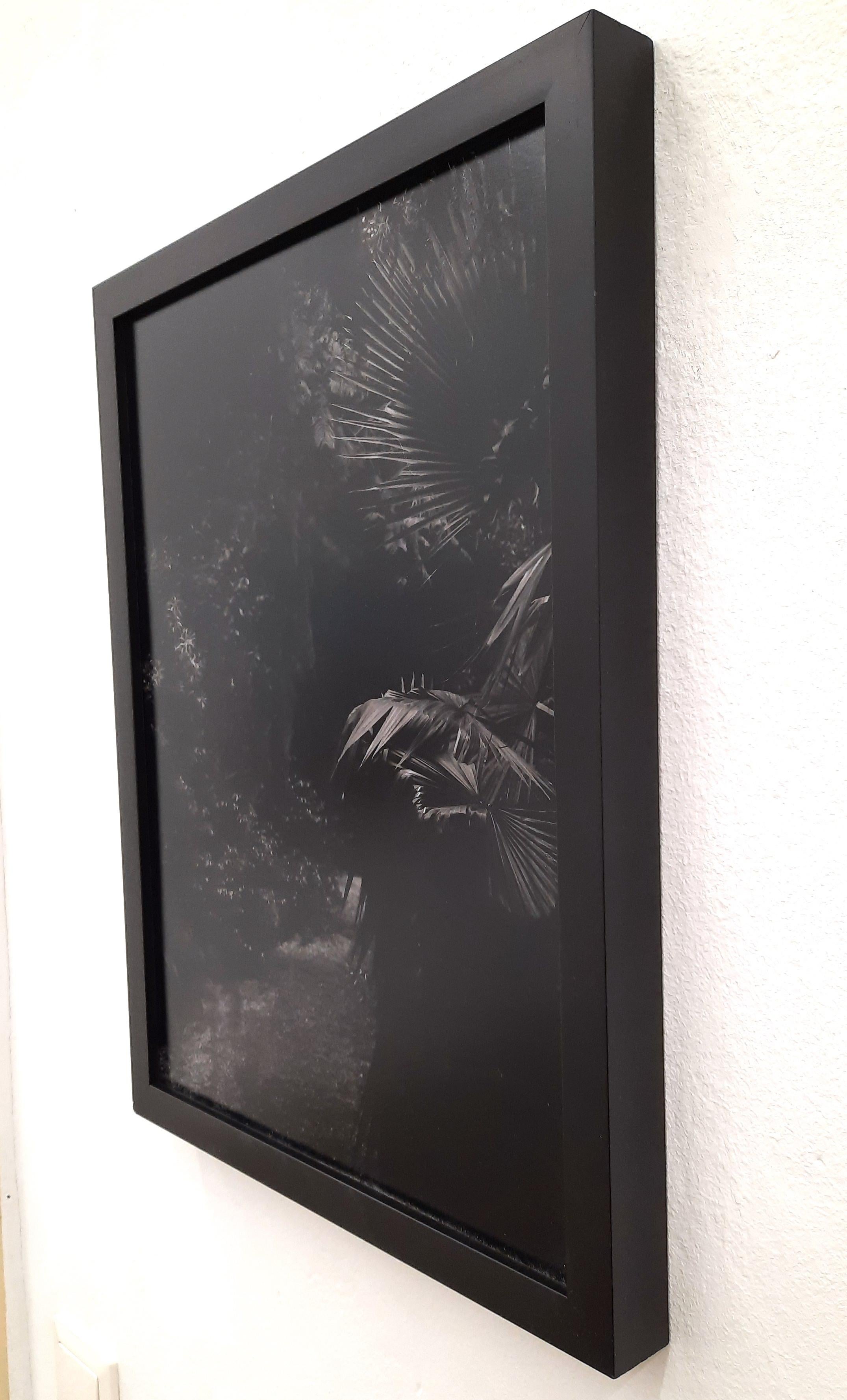 Tina Ribarits
the haunting - Contemporary Dark Landscape Photography
Edition 2/3 + 2 AP
Print is signed and numbered.

Tina Ribarits works with a conceptual approach in a variety of media including installation, video and photography to create
