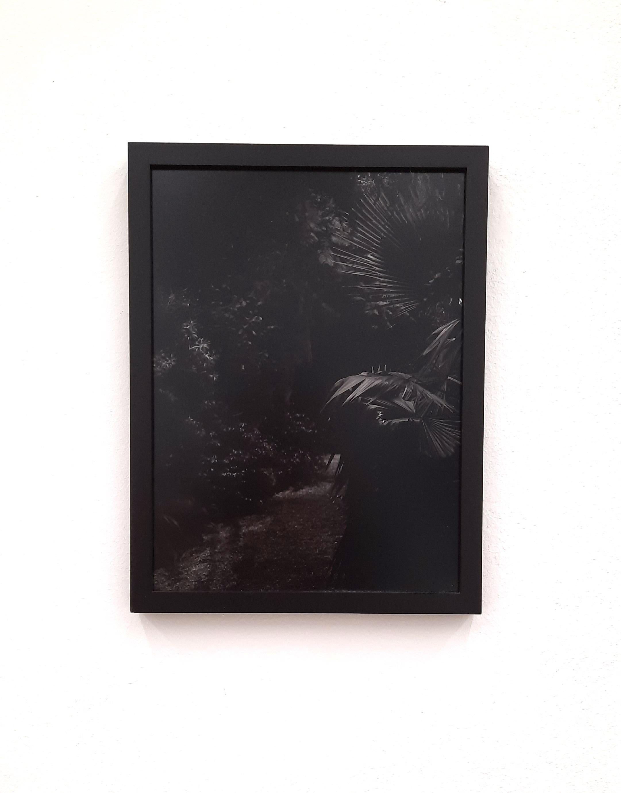 the haunting 3/3 - Contemporary Dark Landscape Photography (Schwarz), Black and White Photograph, von Tina Ribarits
