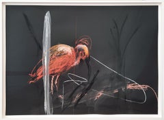 London Zoo Ibis (self-filmed) - Contemporary Animal Print