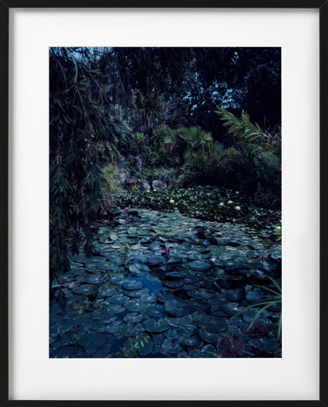 Awakenings - nature still life with pond and trees in green light  For Sale 3