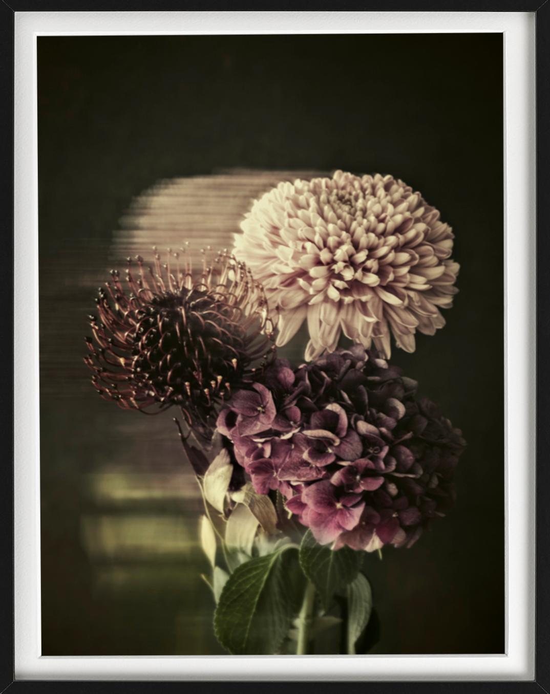 Blumenstrauß – Stillleben mit Blumenstrauß in Erde und dunklen Farben – Photograph von Tina Trumpp
