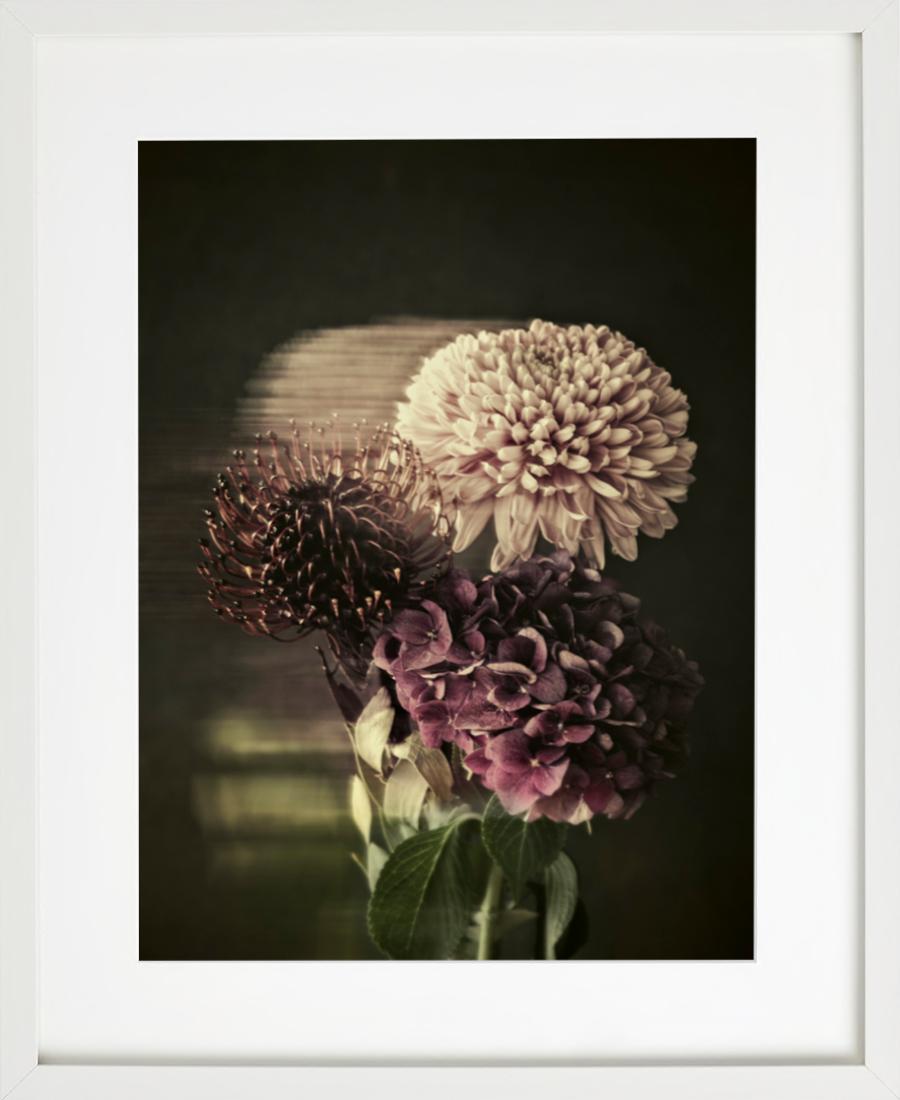 Blumenstrauß – Stillleben mit Blumenstrauß in Erde und dunklen Farben (Zeitgenössisch), Photograph, von Tina Trumpp