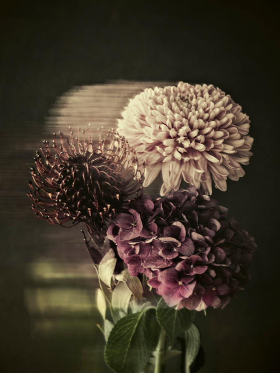 Tina Trumpp Color Photograph – Blumenstrauß – Stillleben mit Blumenstrauß in Erde und dunklen Farben