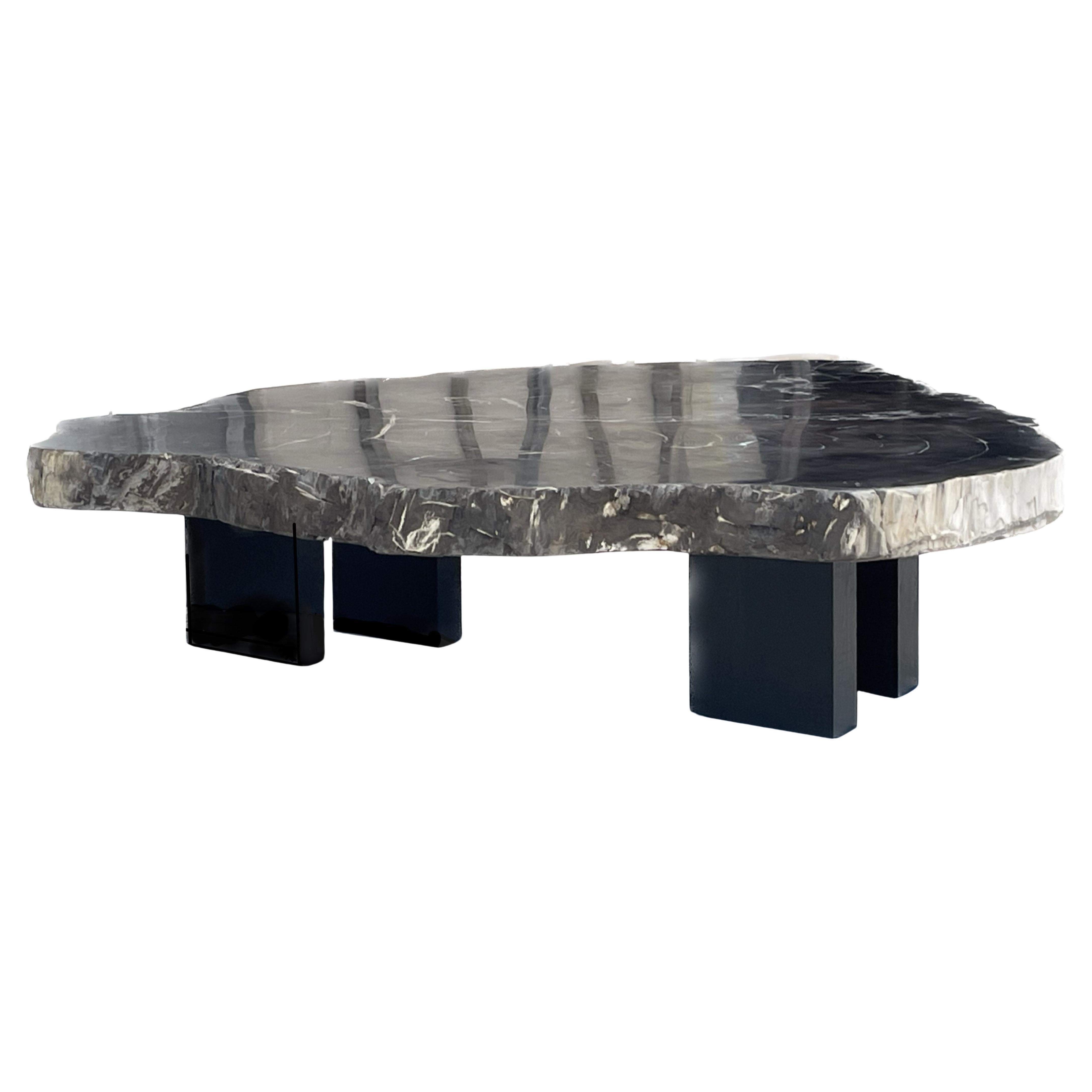 TK Petrified Wood Coffee Table