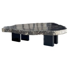 TK Petrified Wood Coffee Table