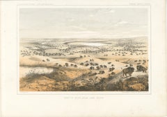 Tinted Lithograph of a Herd of Bison Near Lake Jessie, North Dakota, 1856