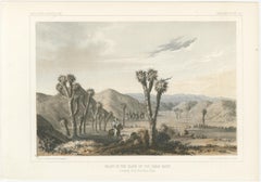 Tinted Lithograph of Valley in the Slope of the Great Basin in California, 1856
