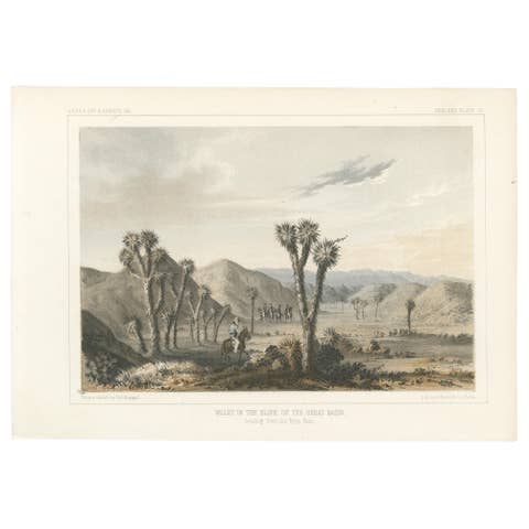 Tinted Lithograph of Valley in the Slope of the Great Basin in California, 1856