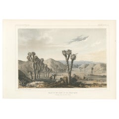 Lithographie teintée de vallée dans la pente du grand bassin en Californie, 1856