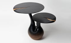 Solid tinted Oak Side Table with Double Tops from by Designer Hoon Moreau
