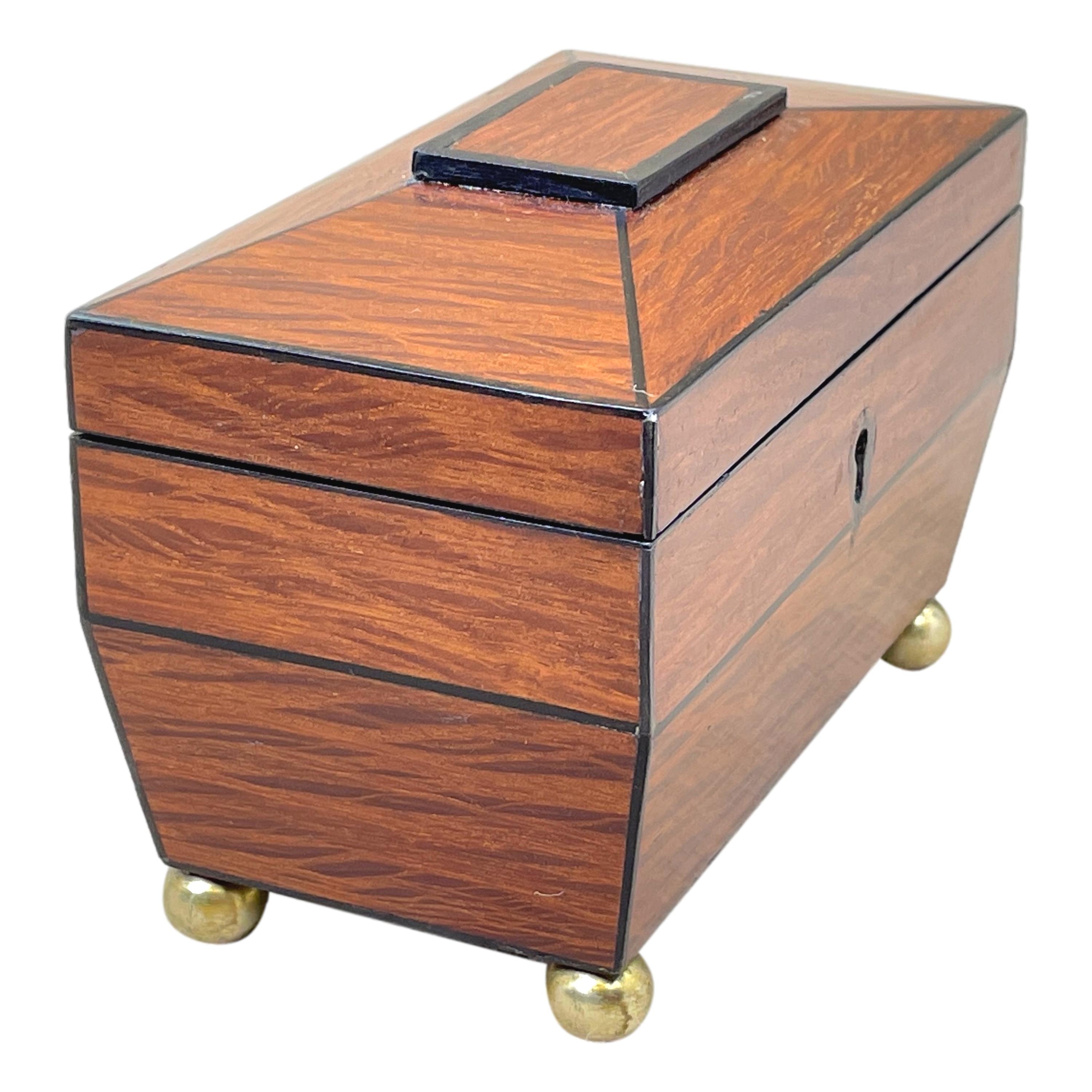 Tiny Regency Partridgewood Tea Caddy In Good Condition For Sale In Bedfordshire, GB