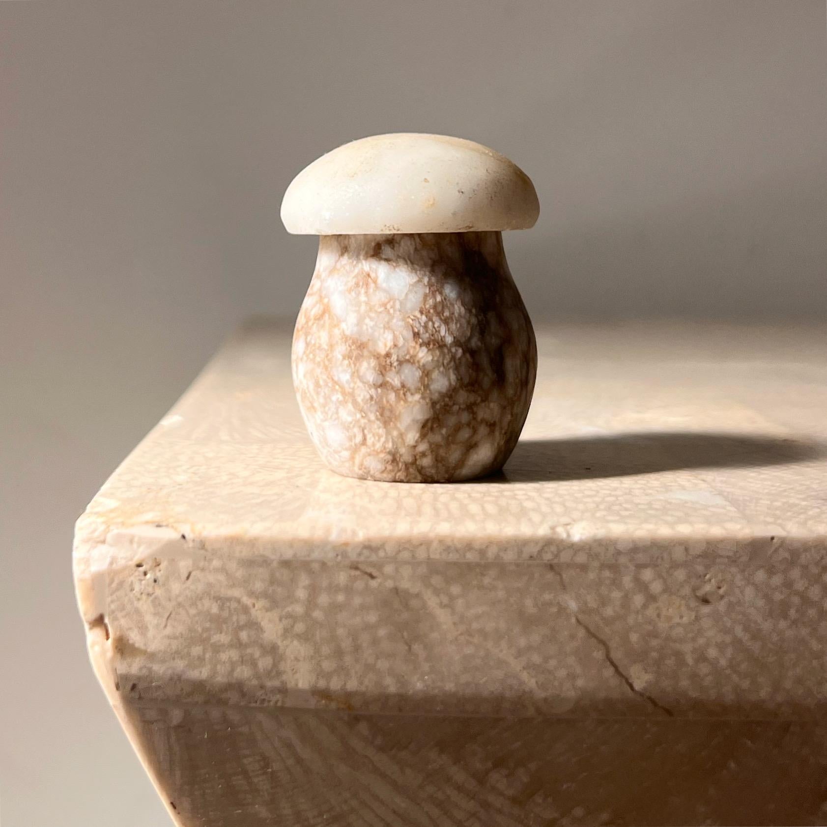 A small marble mushroom objet d’art whose cap pops off to reveal a hidden secret vestibule, mid 20th century. Hand-carved in Italy circa 1960. Tones of beige, taupe, and ivory. Perfect for holding anything little. Lovely as a unique gift. Pick up in
