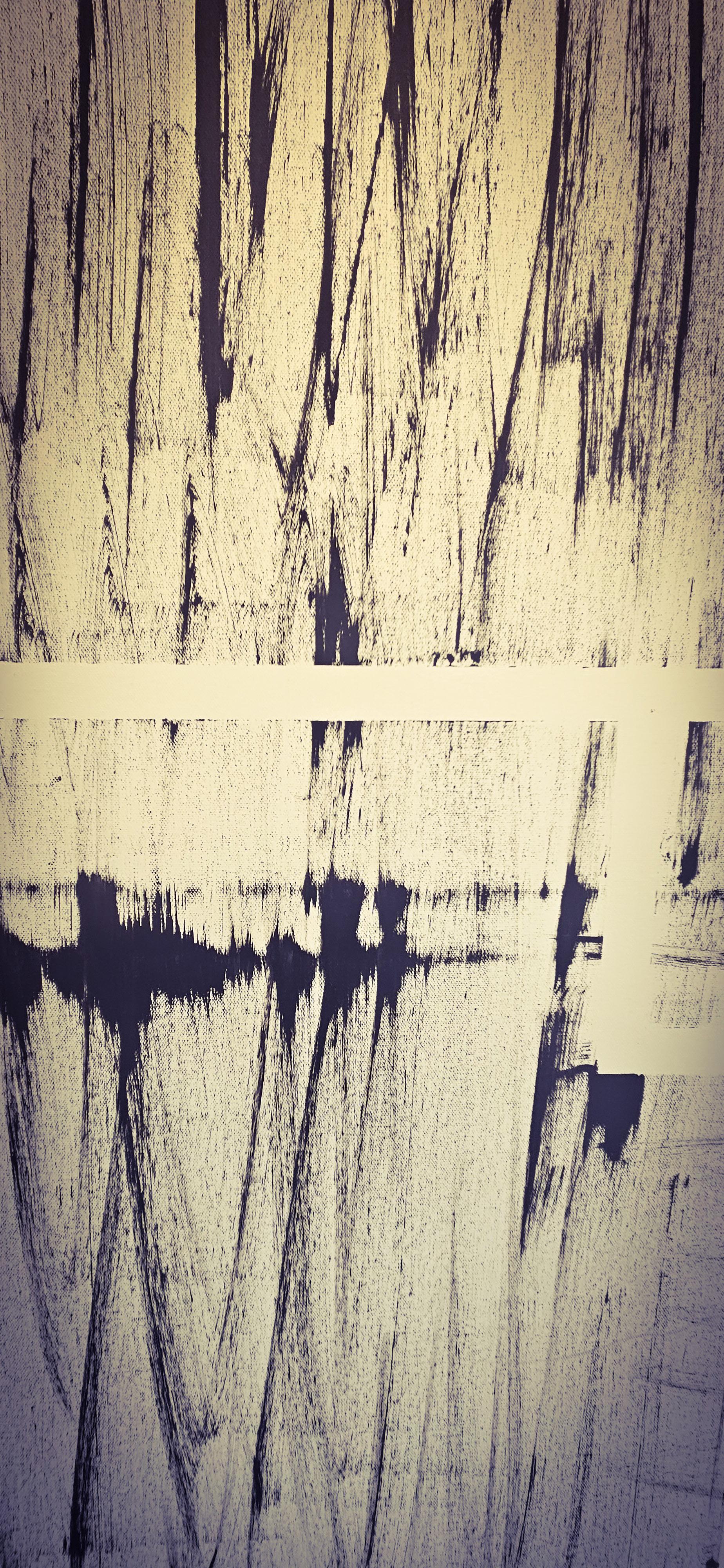 Questa tela 36x48 pollici, caratterizzata da una tavolozza monocromatica di bianco e nero, evoca con forza l'impatto visivo delle finestre.  Il suo design unico e sbilanciato, realizzato con InDesign e acrilici con strumenti specifici per artisti