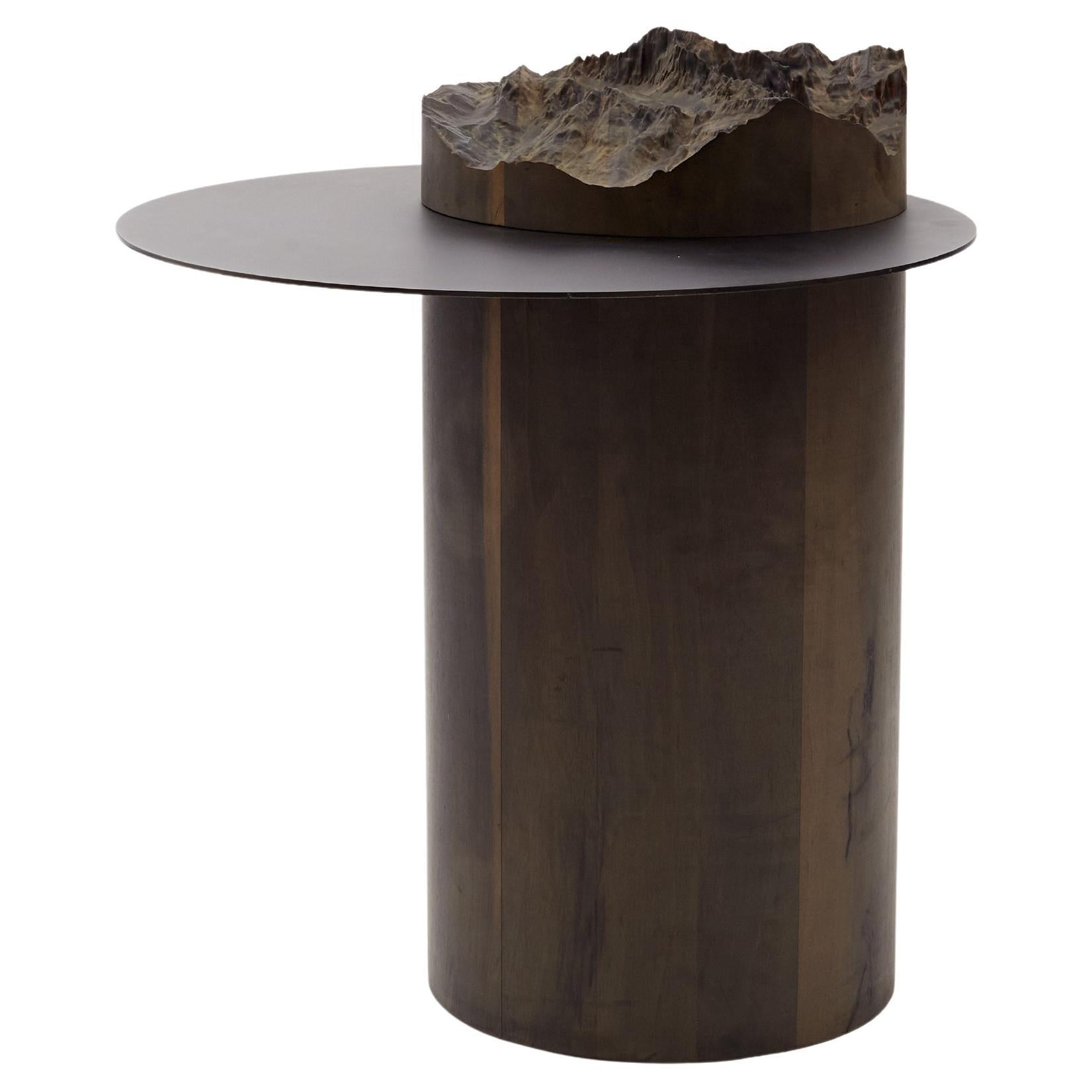 Tip Burnt Black Oak, Brushed Black Chrome Coffee Table by DOLOMITISCH