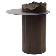 Tip Burnt Black Oak, Brushed Black Chrome Coffee Table by DOLOMITISCH