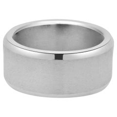 Titanium 10MM Band