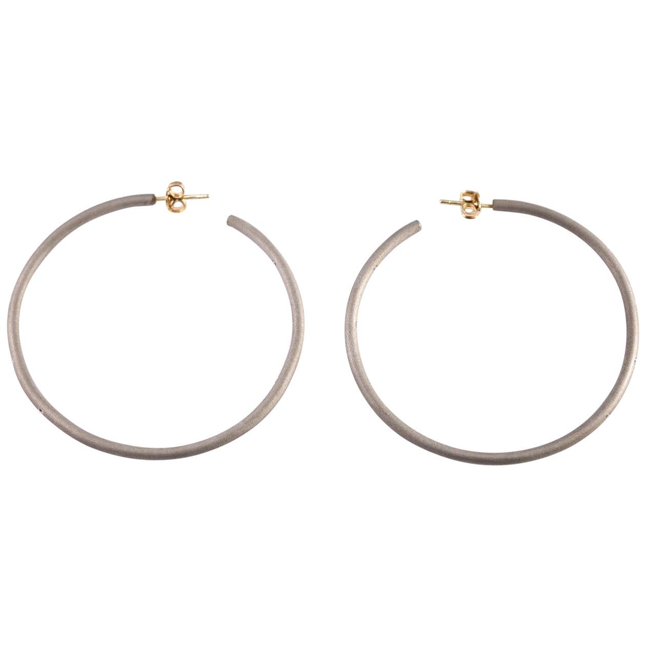 Titanium Diamond Hoop Earrings For Sale at 1stDibs titanium hoop earrings