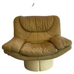 Retro Titina Ammanati and Giam Paolo Vitelli Lounge Chair for Comfort, 1970s