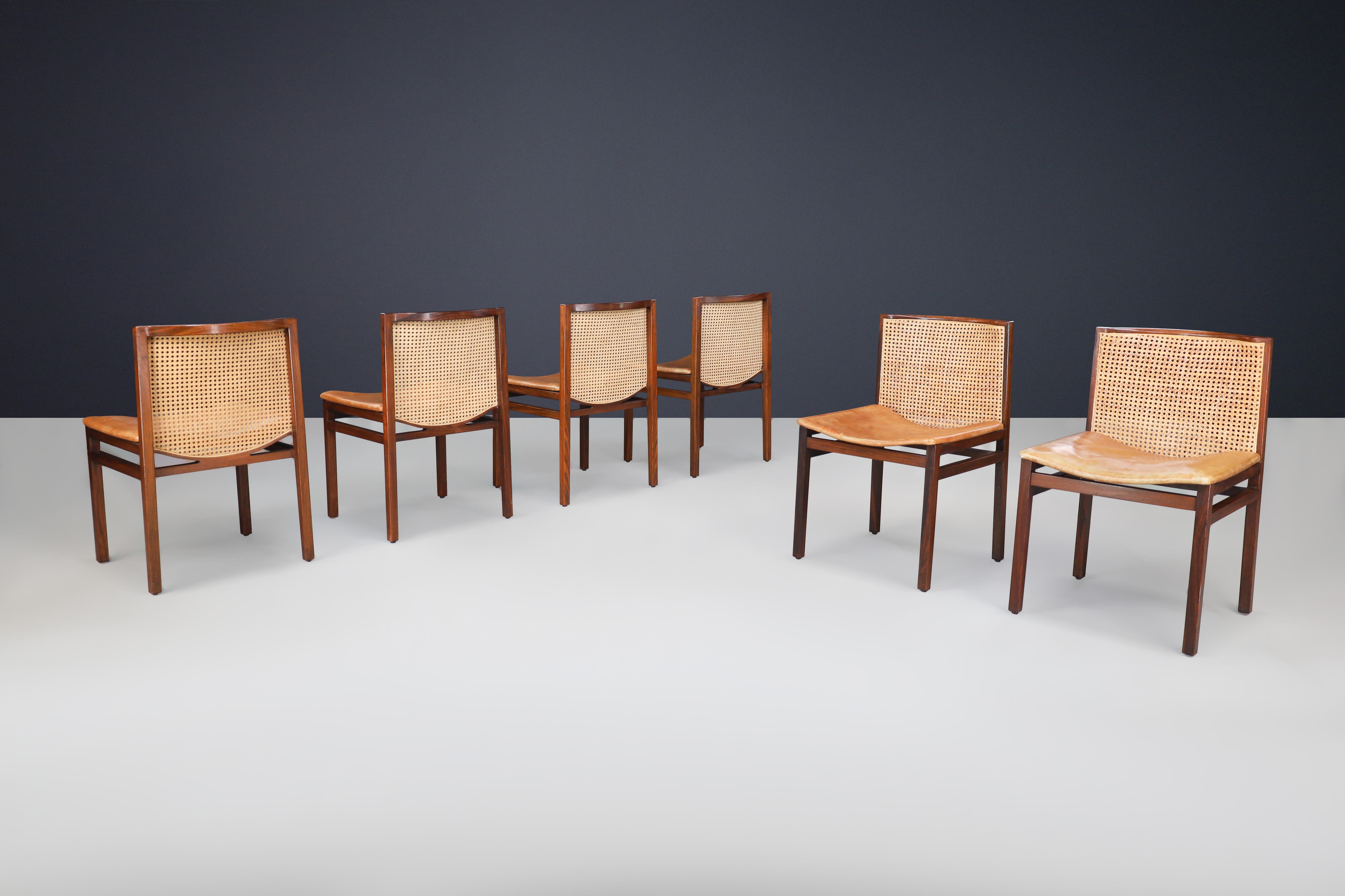 Sillas de comedor Tito Agnoli de caña y cuero coñac patinado, Italia 1966 Moderno de mediados de siglo en venta