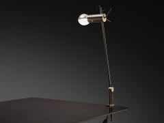Tito Agnoli for O-Luce '255' Desk Lamp
