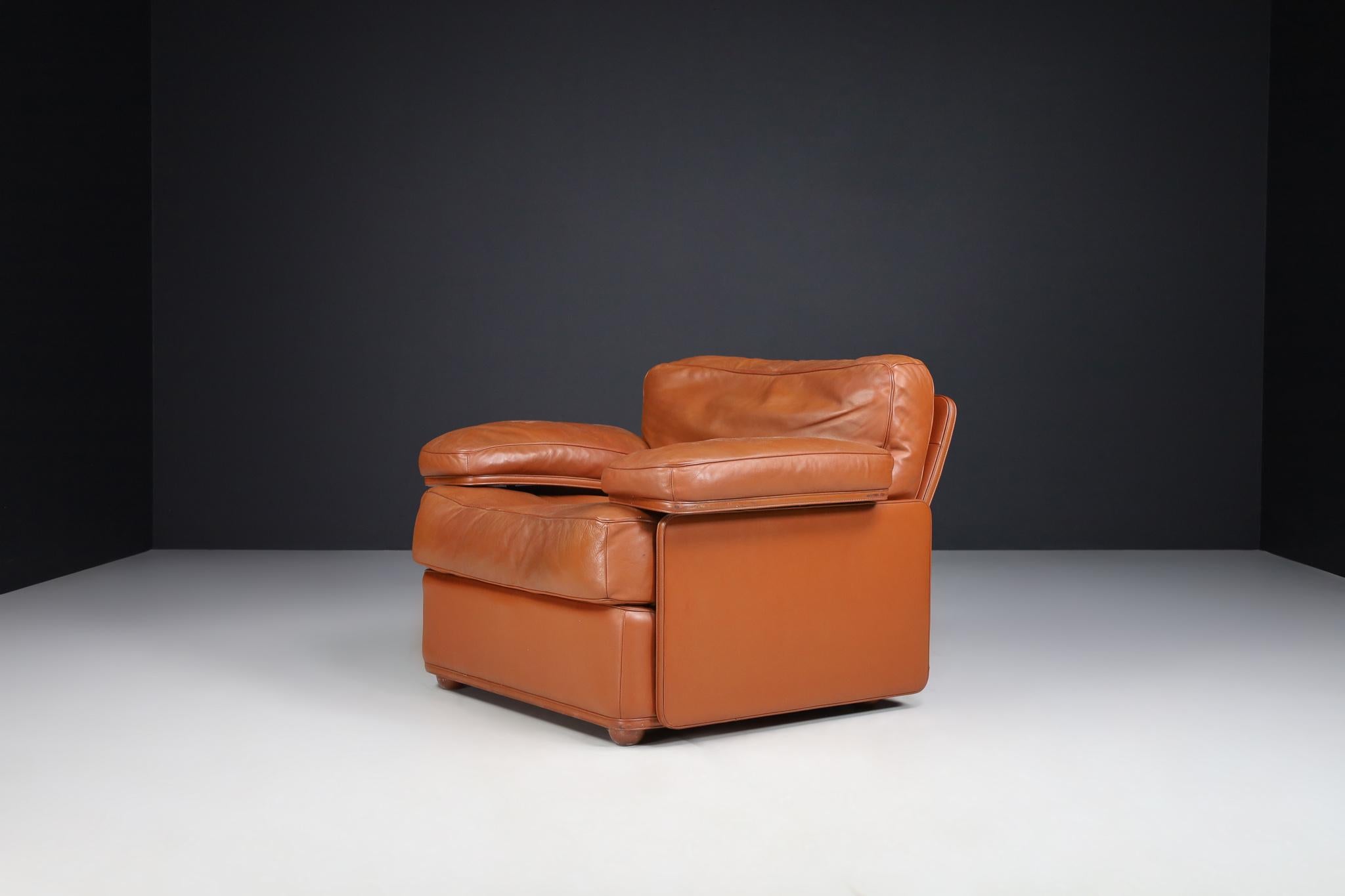Late 20th Century Tito Agnoli For Poltrona Frau Leather Lounge Chairs by, Italy 1970s For Sale