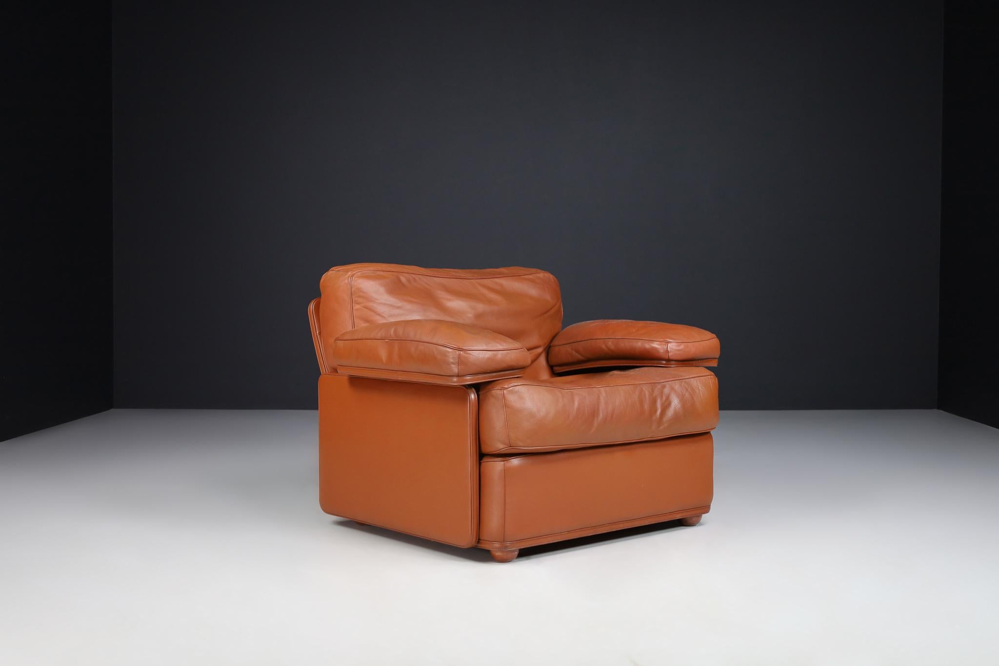 Tito Agnoli For Poltrona Frau Leather Lounge Chairs by, Italy 1970s For Sale 1