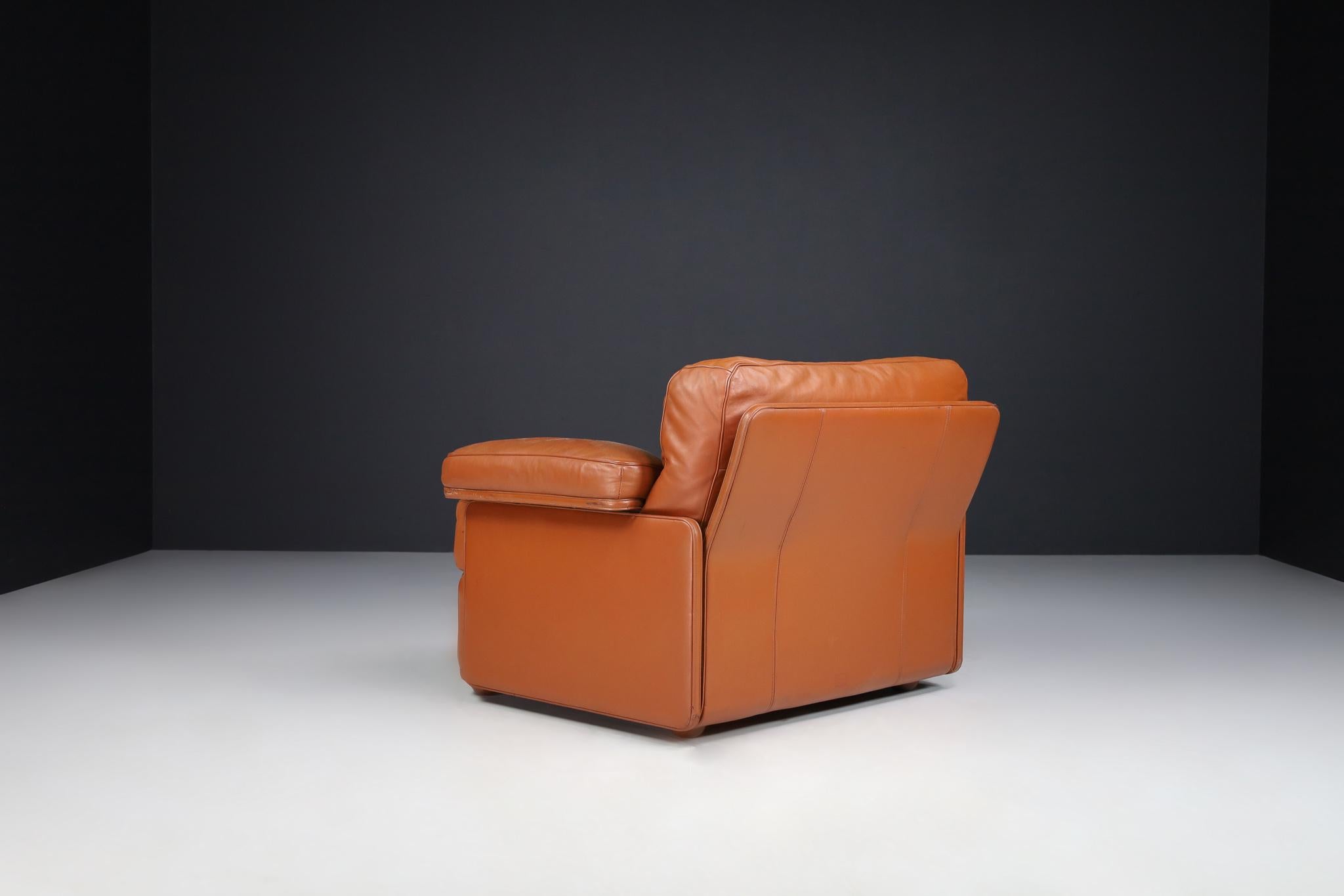 Tito Agnoli For Poltrona Frau Leather Lounge Chairs by, Italy 1970s For Sale 2
