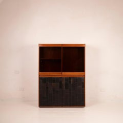 Tito Agnoli 1970 Italian Peccary Black Leather Cabinet for Caleido