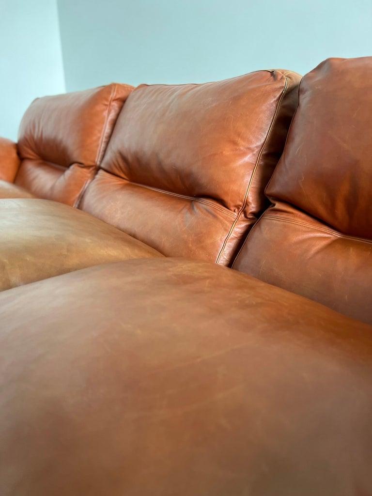 Tito Agnoli Mohnblumen-Sofa für Poltrone Frau (Leder) im Angebot