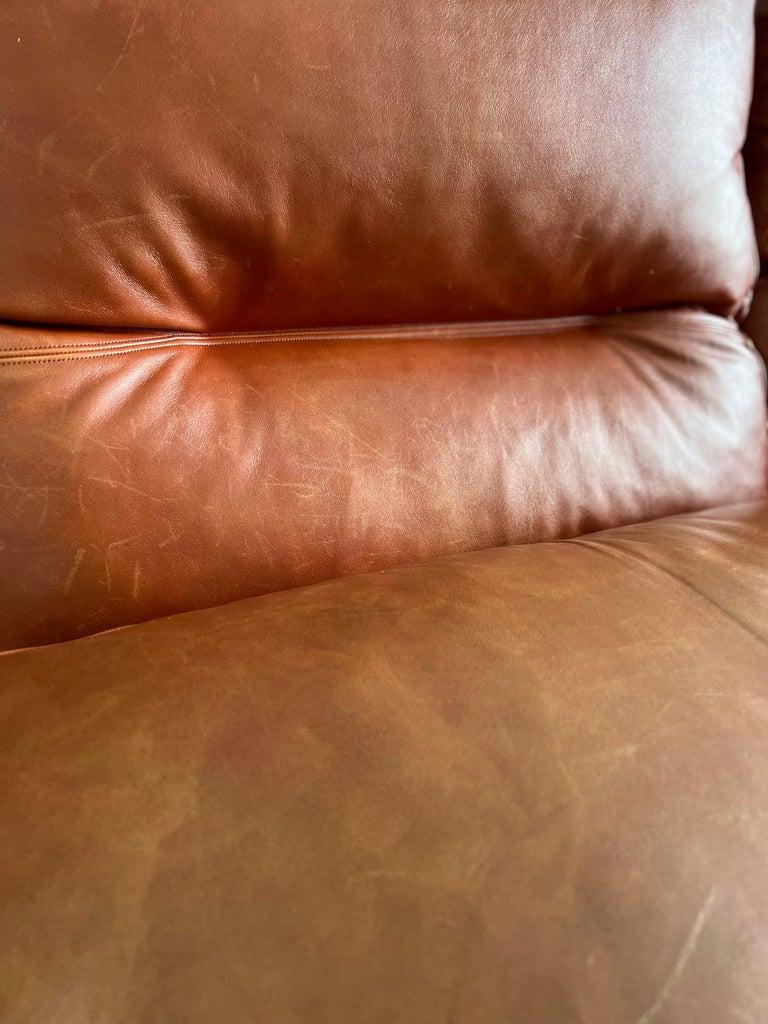 Leather Tito Agnoli Poppy Sofa for Poltrone Frau For Sale