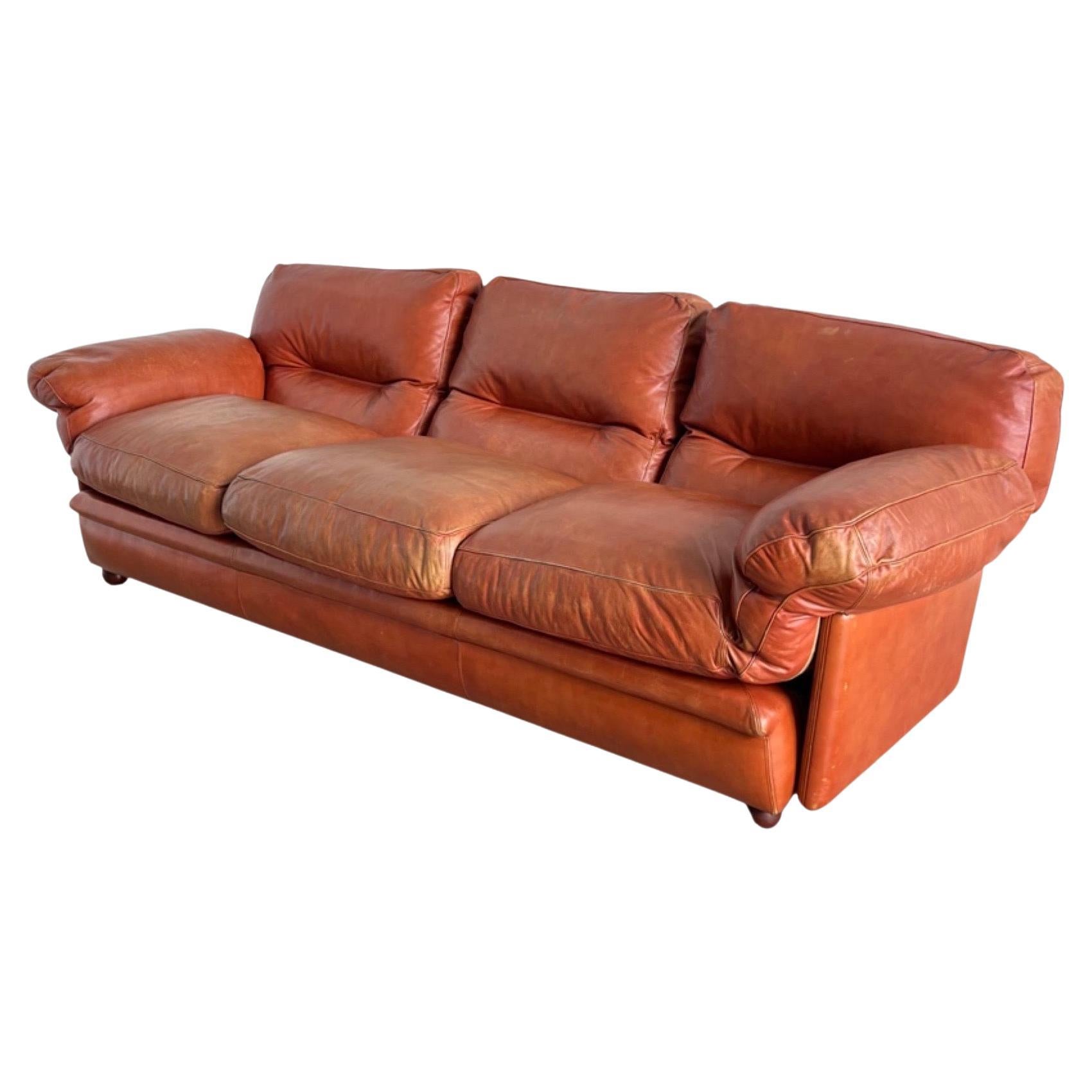 Tito Agnoli Poppy Sofa for Poltrone Frau For Sale at 1stDibs |  poltronesofa, poltrone couch
