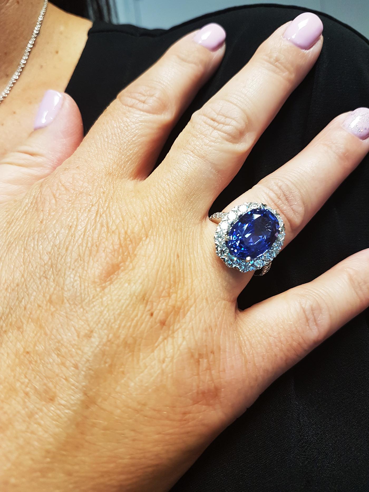 Contemporary Tivon Heirloom large Platinum Diamond and Ceylon Sapphire Classic Cluster Ring For Sale