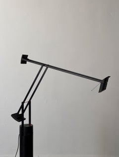 Tizio 35 Terra Floor Lamp Designed by Richard Sapper for Artemide, 1971 Italy