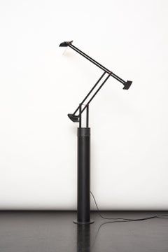 Tizio 35 Terra Floor Lamp Designed by Richard Sapper for Artemide