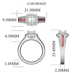 TJD 0.75Carat Round & Princess-Cut Diamond 14K 2Tone Double Halo Engagement Ring