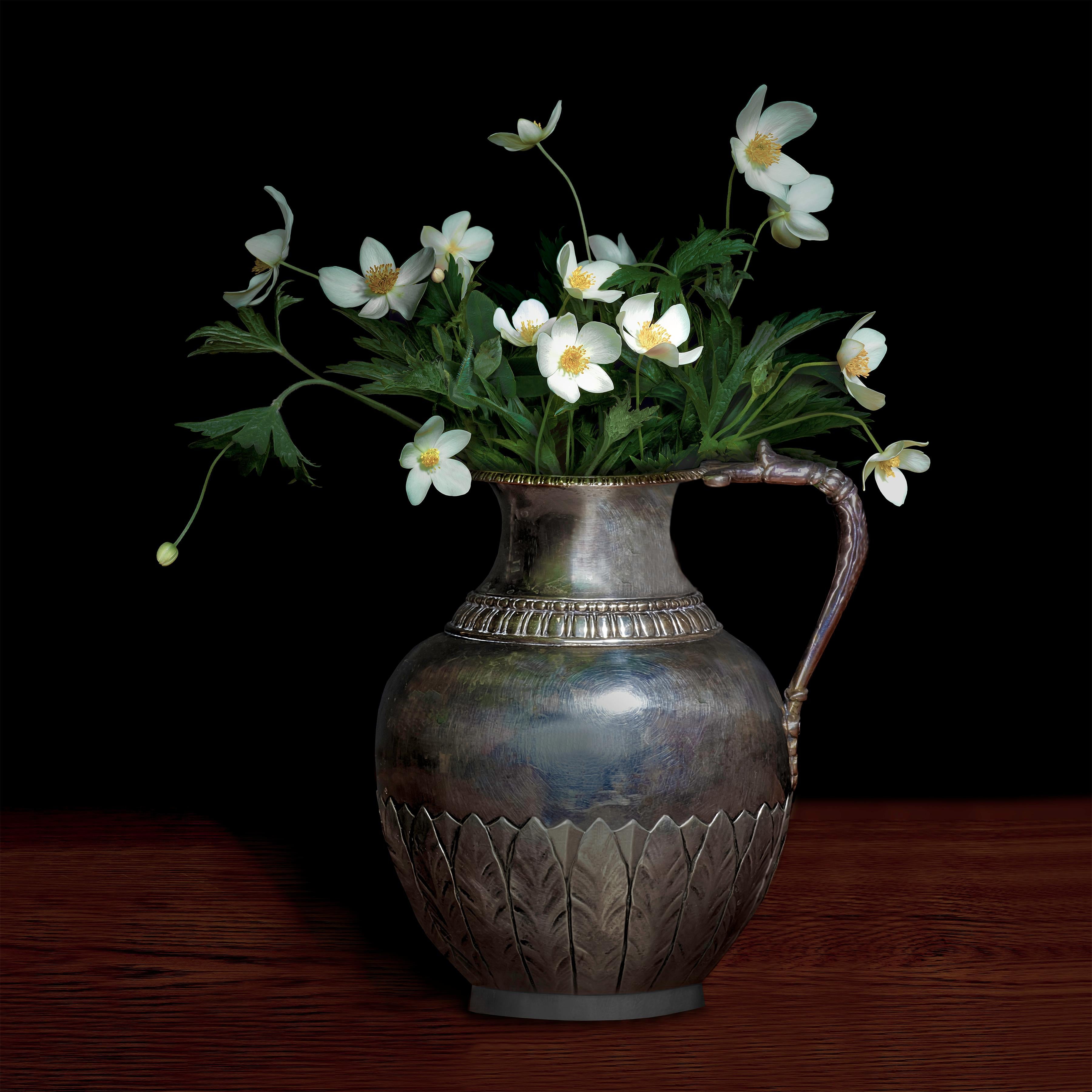 T.M. Glass Color Photograph - Anemone Canadensis in a Silver Jug