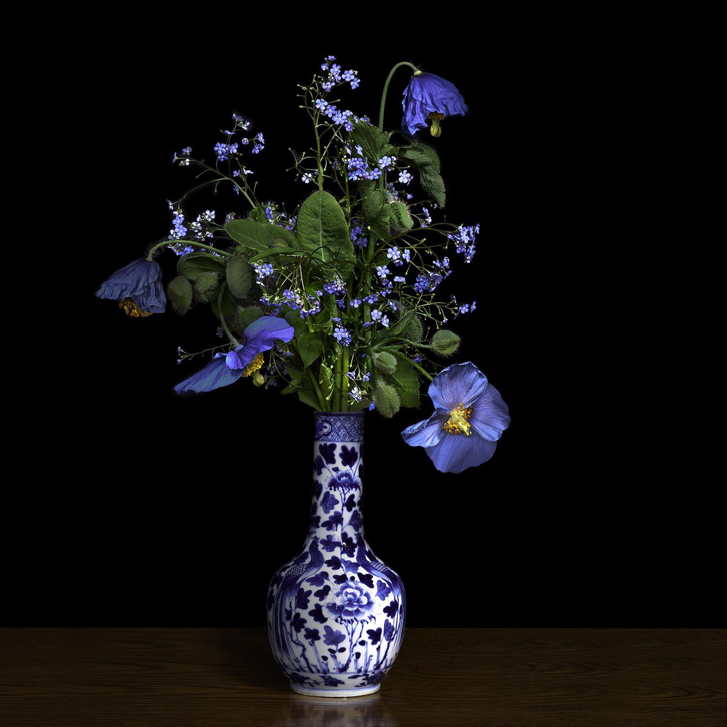 Blue Poppy in a Blue and White Chinese Vase - Photograph by T.M. Glass