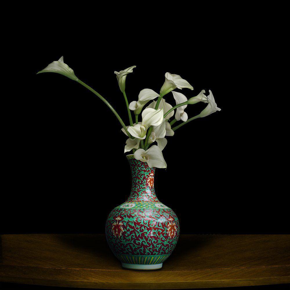 Calla Lilien in chinesischer Vase – Photograph von T.M. Glass